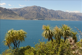 Lake Wanaka